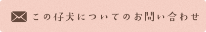 この仔犬についてのお問い合わせ