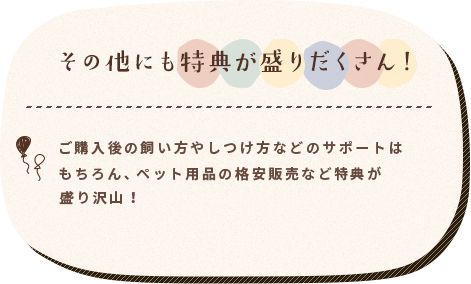 その他にも特典が盛りだくさん！ ご購入後の飼い方やしつけ方などのサポートはもちろん、提携のドッグランが低料金で使用やペット用品の格安販売など特典が盛り沢山！ 